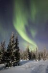 Northern Lights over Boreal Forest, North America
