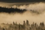 Morning Fog near Swan Lake Along the Alaska Highway, Yukon, Canada