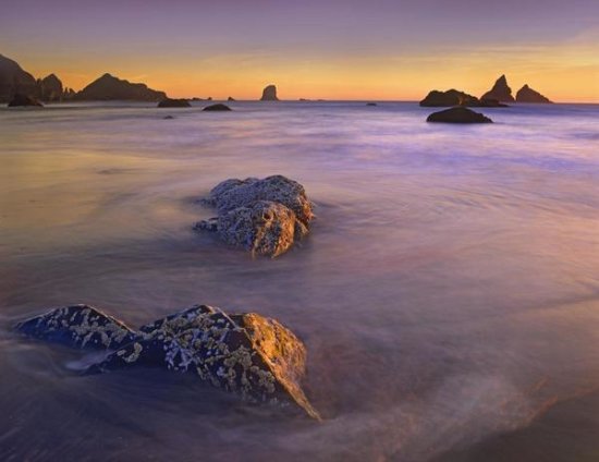 Coastline, Lone Beach, Oregon
