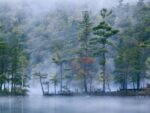 Emerald Lake in Fog, Emerald Lake State Park, Vermont