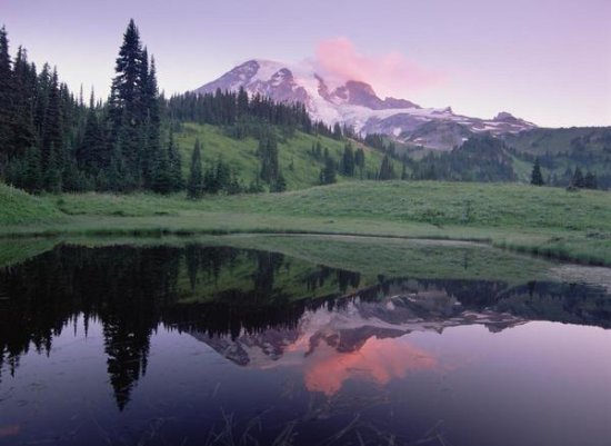Mt Rainier Reflected in Lake, Mt Rainier National Park, Washington