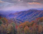 Autumn Deciduous Forest, Great Smoky Mountains National Park, Tennessee