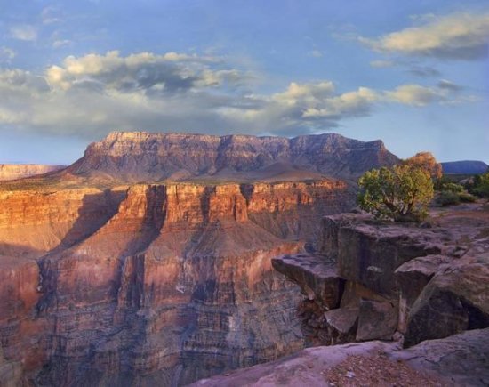 Sandstone Cliffs and Canyon from Toroweap Overlook, Grand Canyon National Park, Arizona