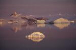 Sunrise over Icebergs, Antarctic Sound, Antarctica