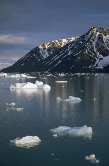 Ice Floes in Evening Light, Spitsbergen Island, Svalbard, Norway