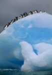 Adelie Penguin Group Resting on Blue Ice Flow, Antarctica