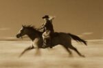 Cowgirl on a Horse Running Through a Field, Oregon