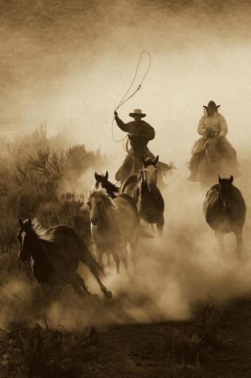 Horses Herded by Cowboy and Cowgirl, Oregon