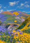 Phacelia and Hillside Daisy flowers, Superbloom, Temblor Range, Carrizo Plain National Monument, California