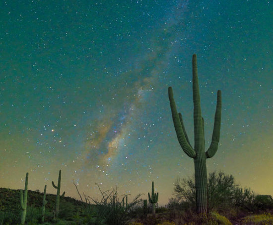 Saguaro Cacti and the Milky Way, Organ Pipe Cactus National Monument, Arizona
