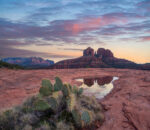 Cactus and Cathedral Rock at Sunset, Coconino National Forest, Arizona