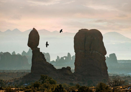 Ravens Flying over Balanced Rock, Arches National Park, Utah