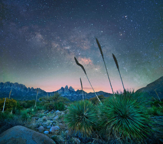Agave Group at Night, Organ Mountains, Desert Peaks National Monument, New Mexico