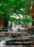 Tanyard Creek Falls, Washington County, Arkansas