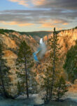 Lower Falls on the Yellowstone River, Grand Canyon of Yellowstone, Yellowstone National Park, Wyoming