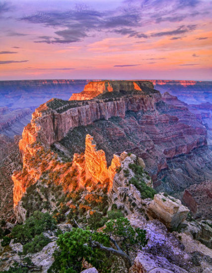Wotans Throne from Cape Royal, Grand Canyon National Park, Arizona