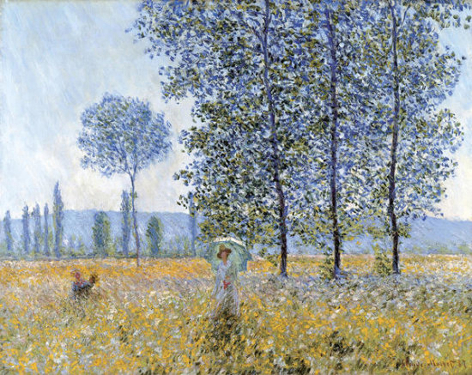 Sunlight Under the Poplars