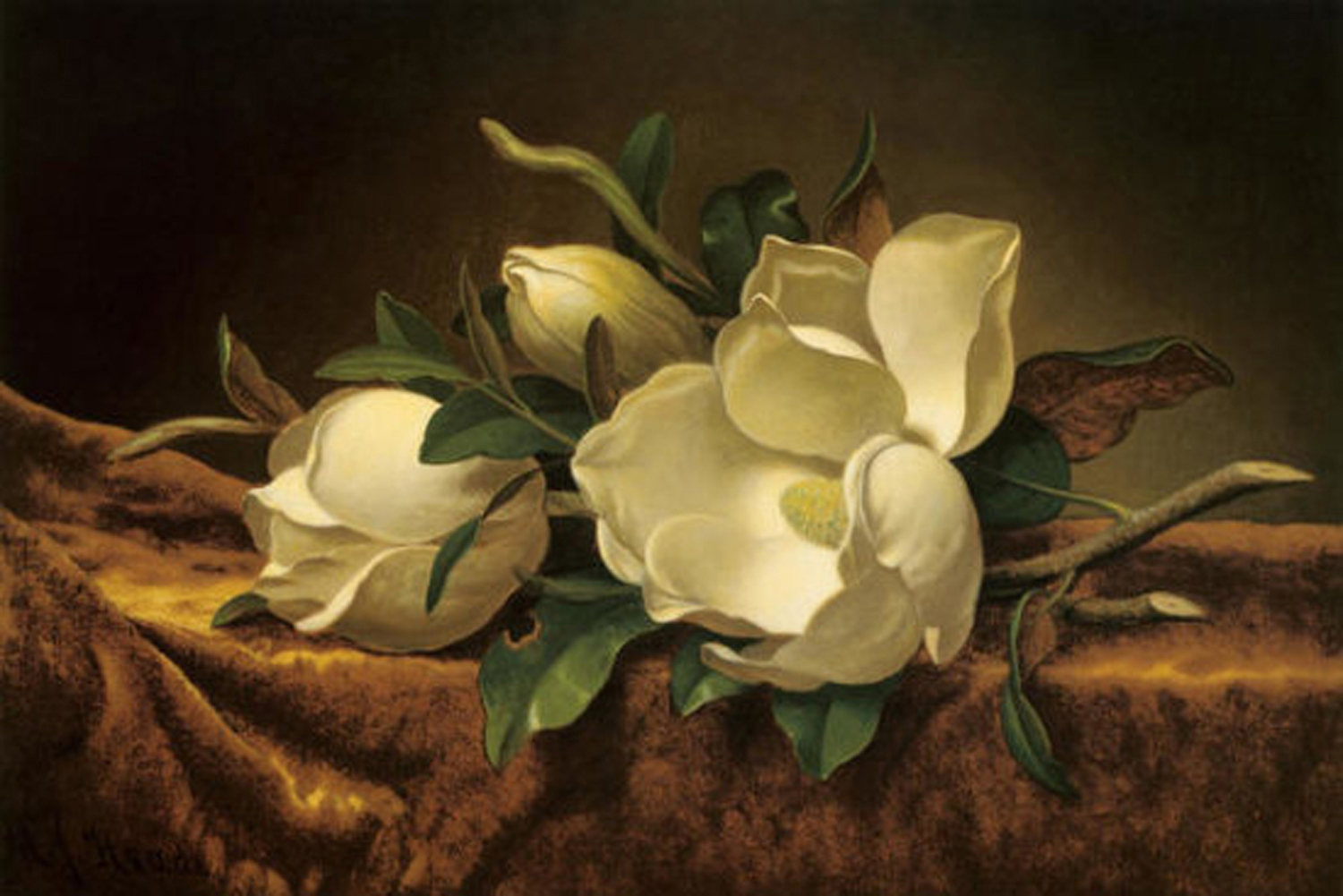 Magnolia on Gold Velvet Cloth