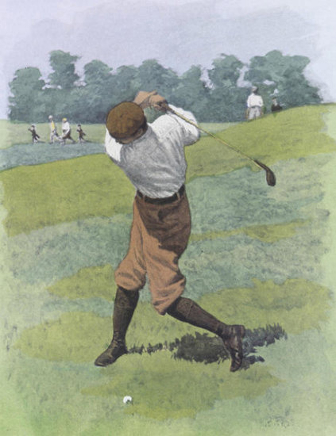Grassy Lie
