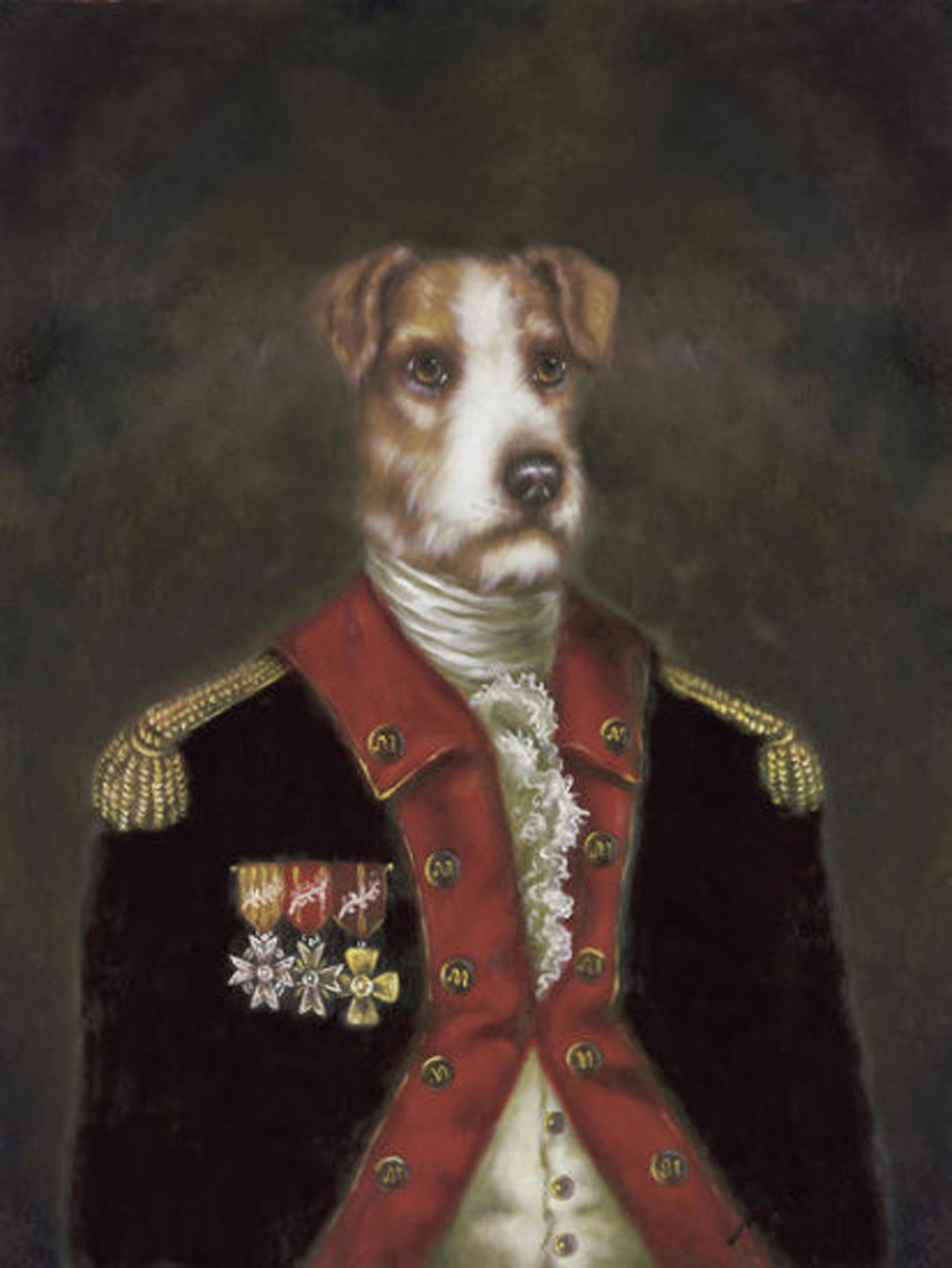 Master Rufus de terrier