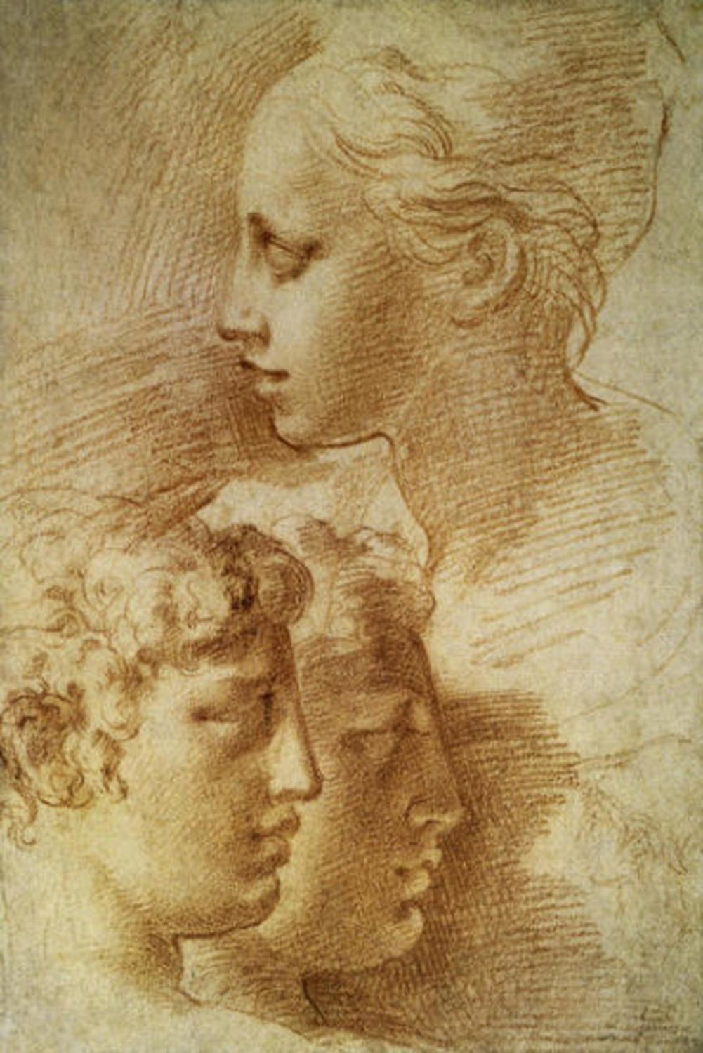 Three Profiles