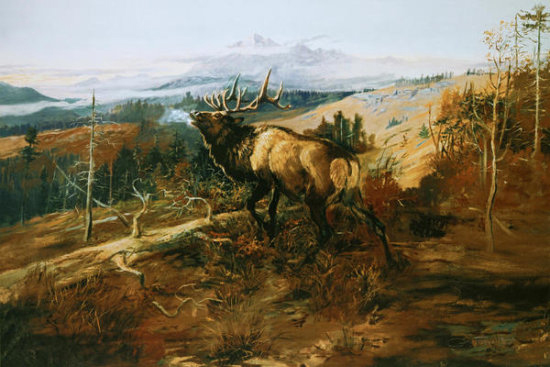The Elk