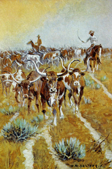 Texas Longhorns