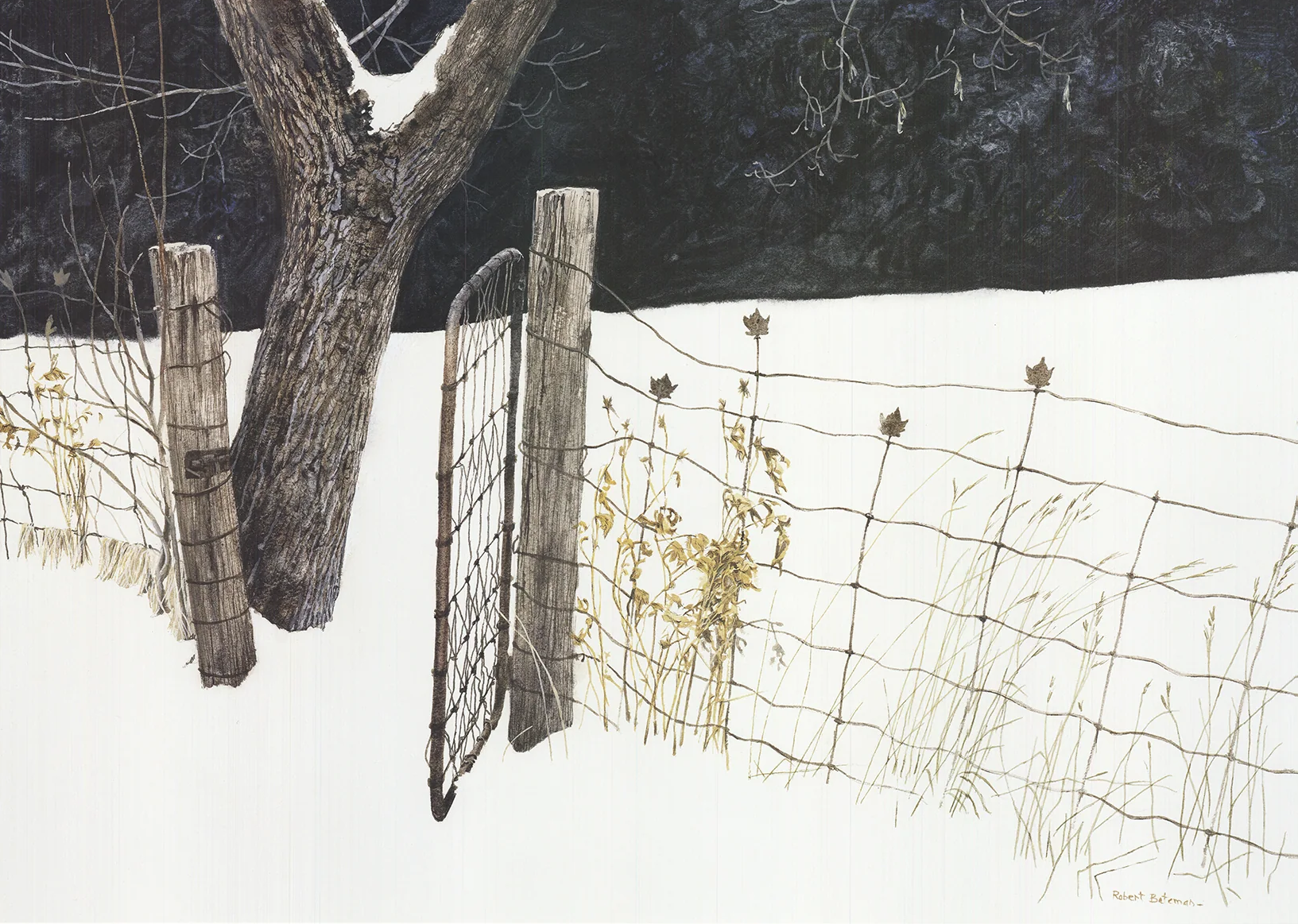 Maple Leaf Fence, 2000