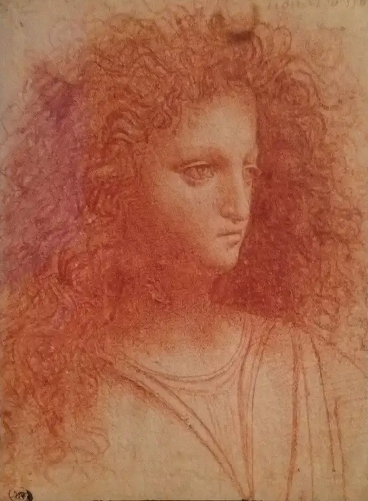 Bust of a Man, c. 1513