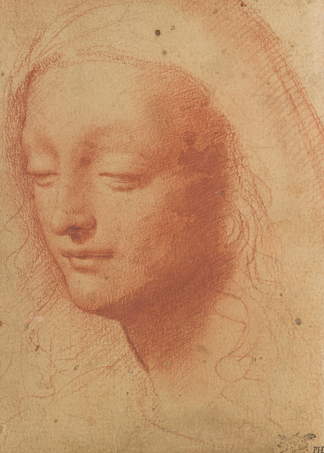 Head of a Woman Wearing a Veil, c. 1511-13