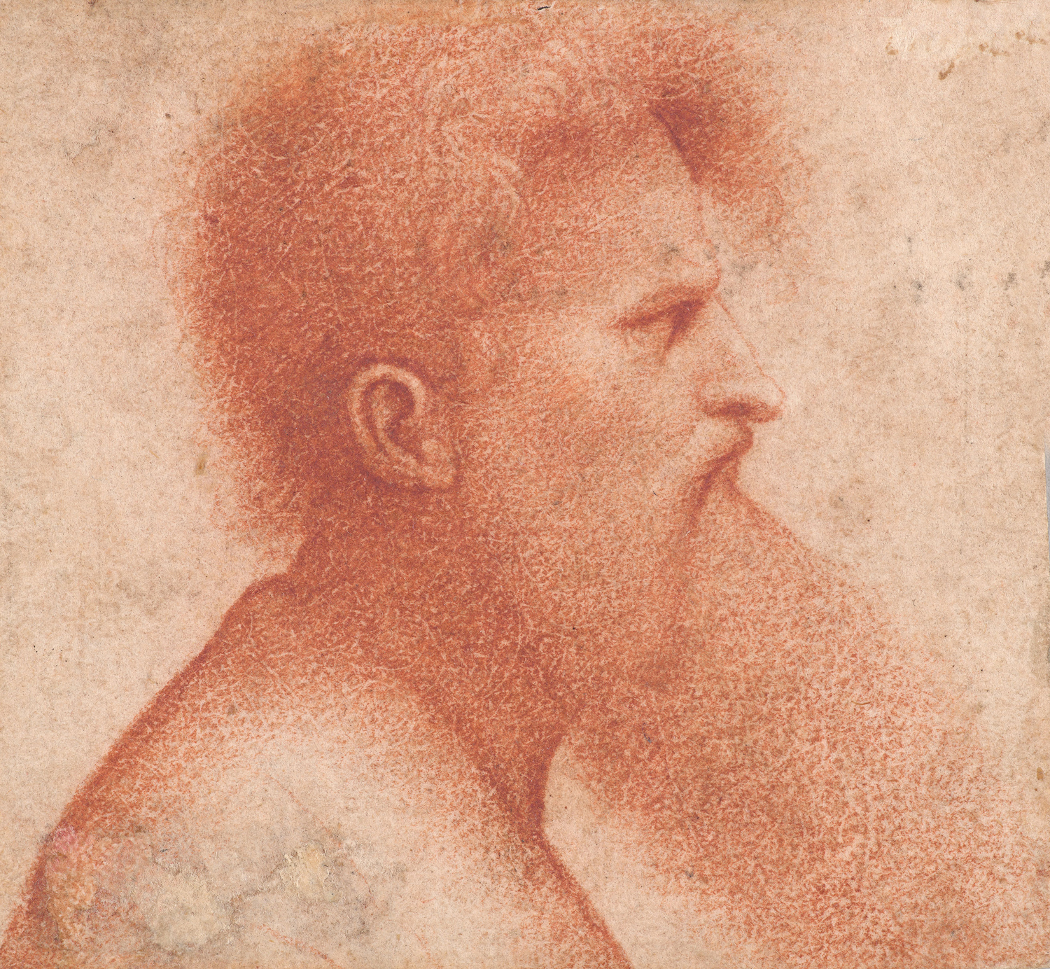 Head of a Bearded Man in Profile to the Right, c. 1500