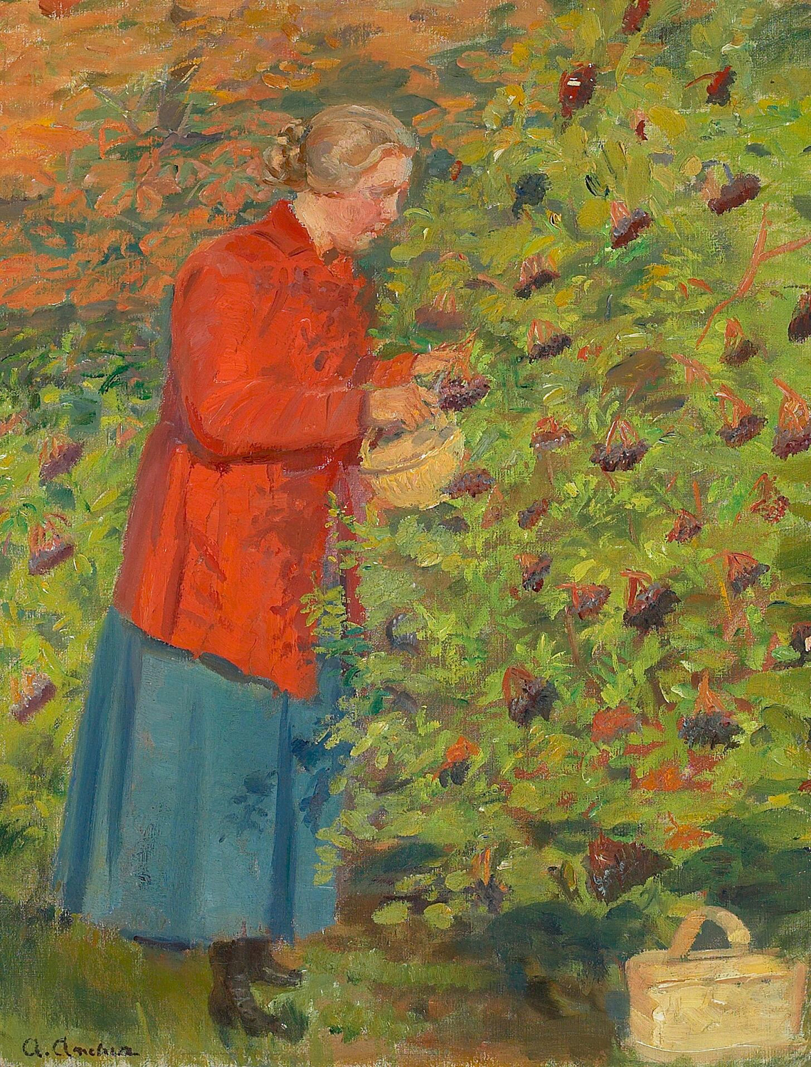 Helga Anches Picking Elderberries