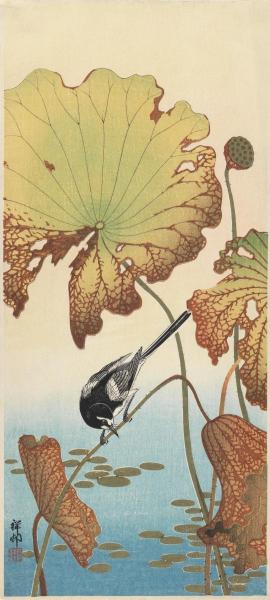 Wagtail and Lotus, ca. 1915