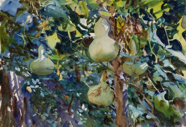 Gourds, ca. 1908