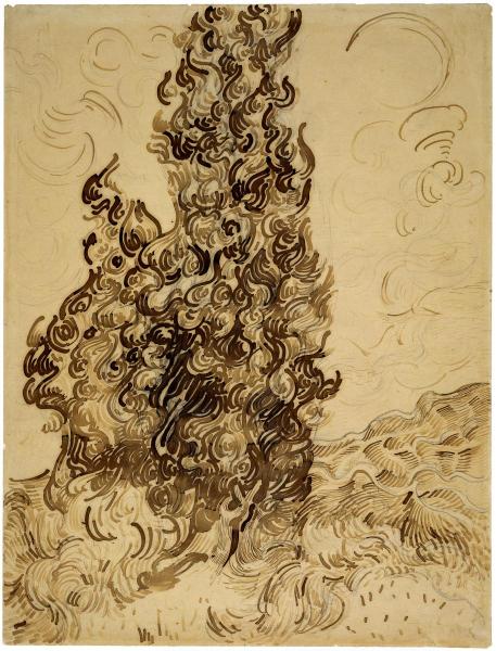 Cypresses, June 1889