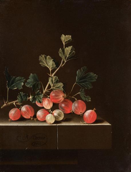 Gooseberries on a Table, 1701