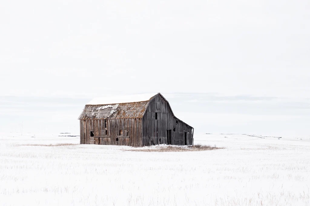 Standalone Winter Barn