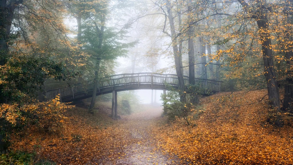 The Wooden Bridge
