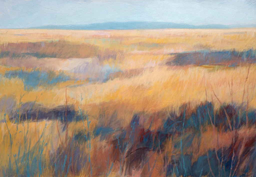 Fields of Color