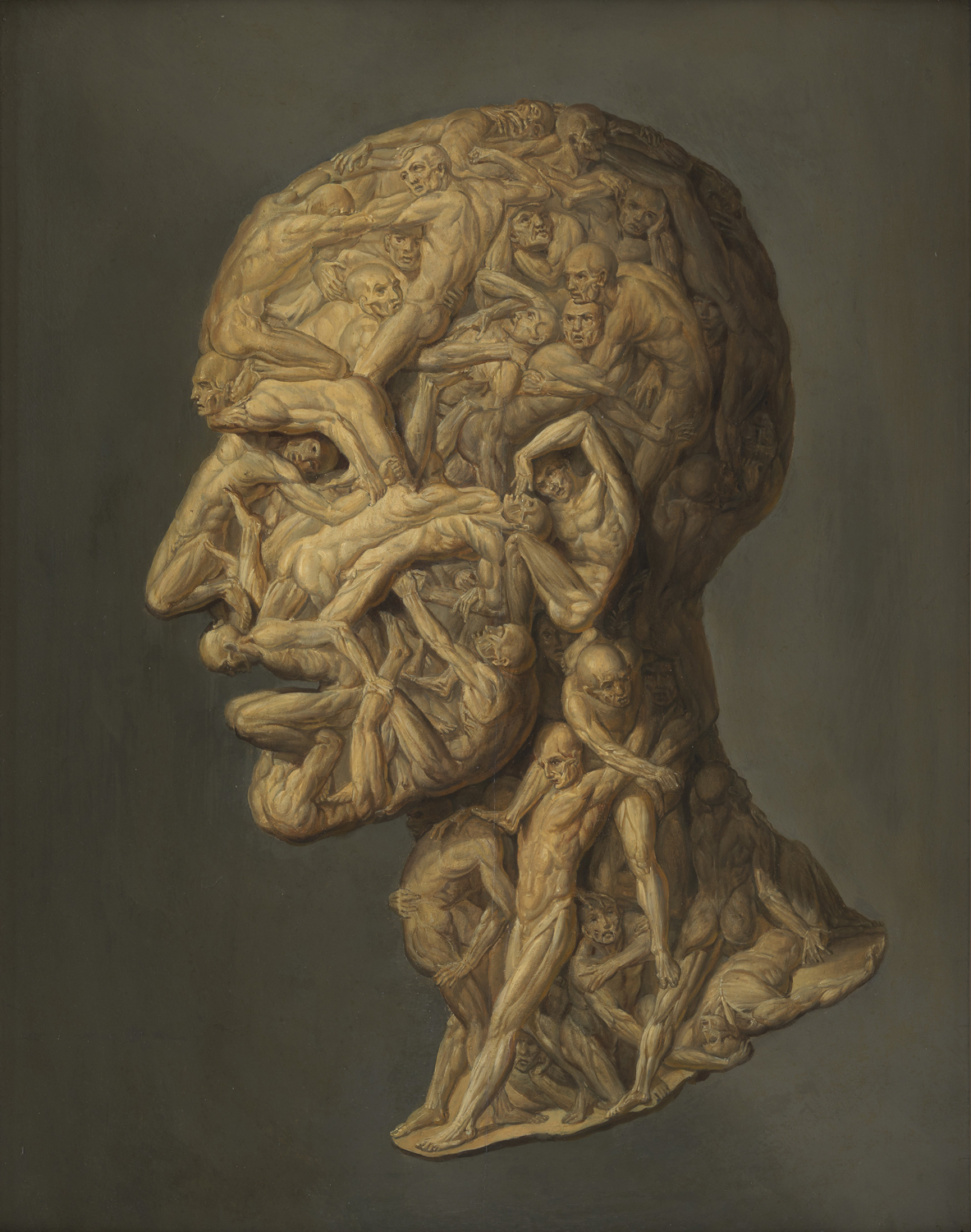 Testa Anatomica, 1854