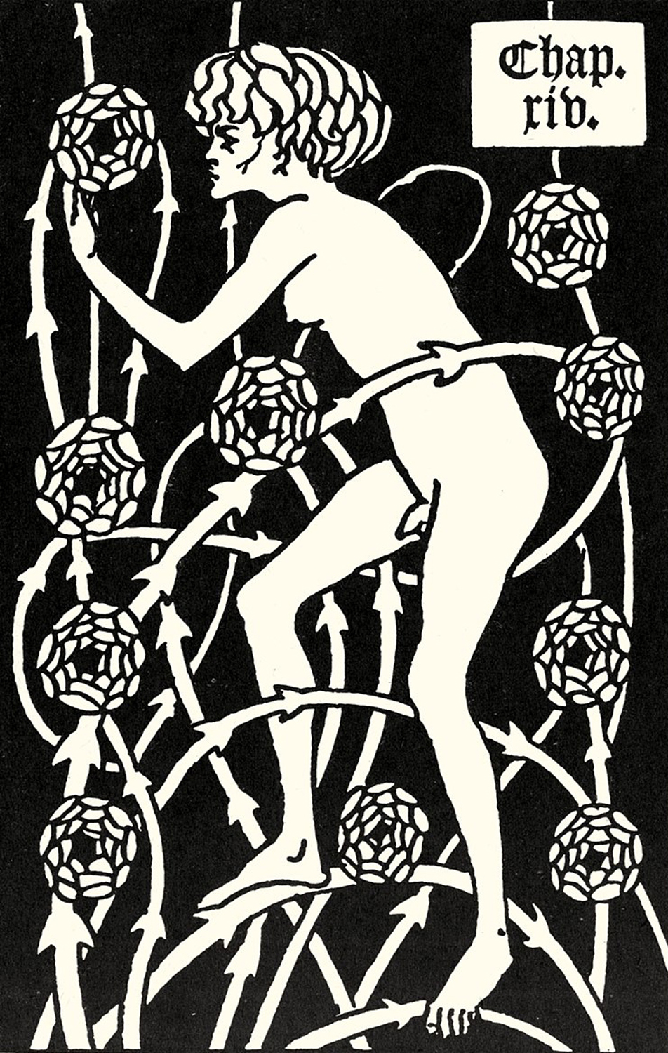 Hermaphtoditus from 