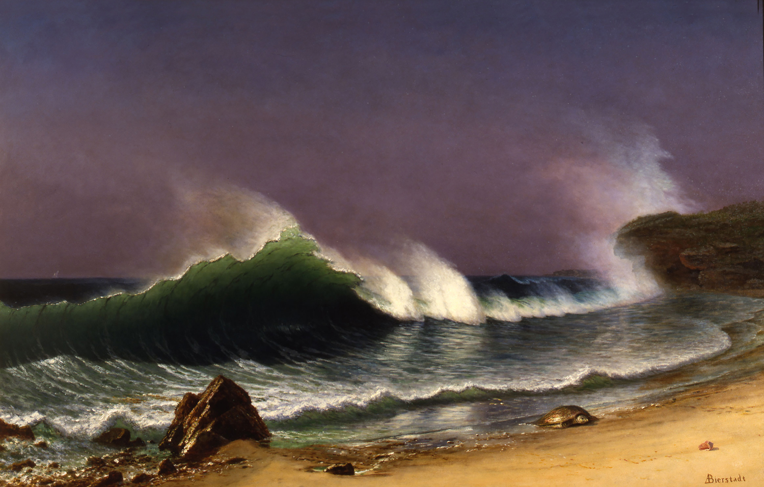 After a Norther, Bahamas, c. 1878-85