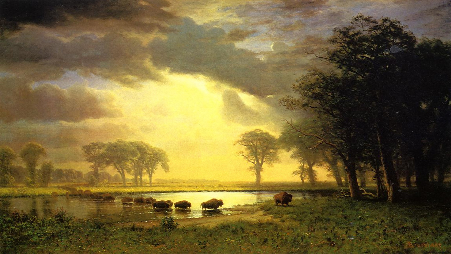 The Buffalo Trail, c. 1889-90