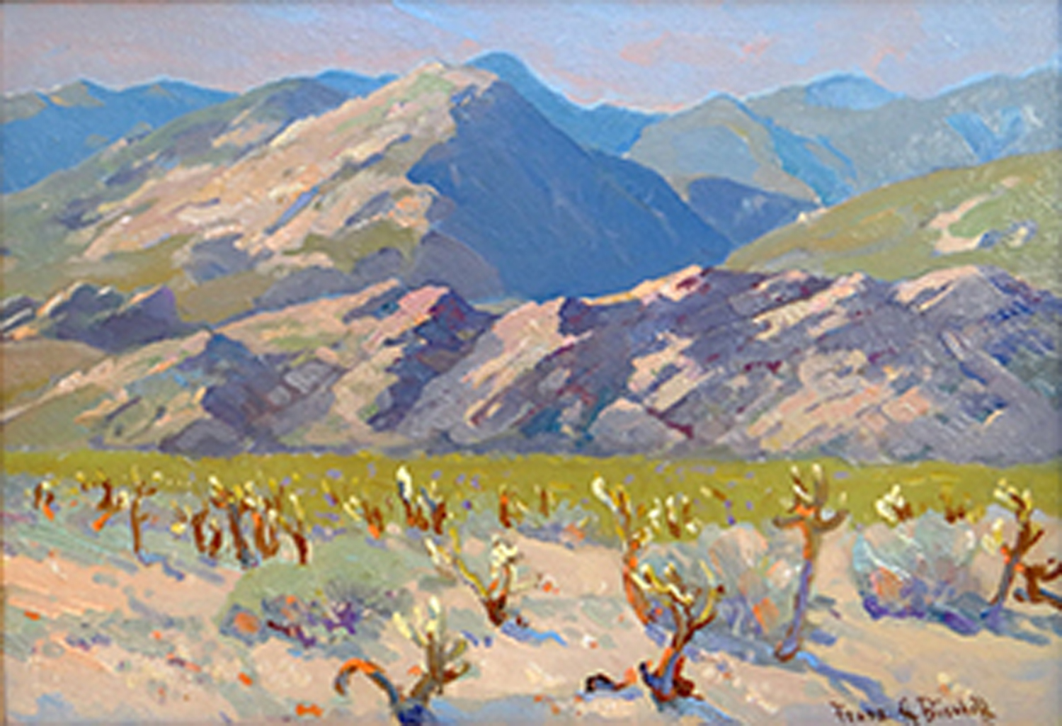 Cholla near Palm Springs, California, c. 1920-26