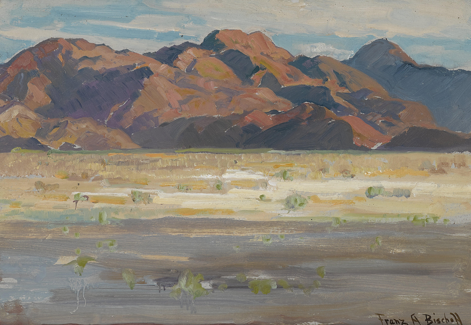 Desert Landscape