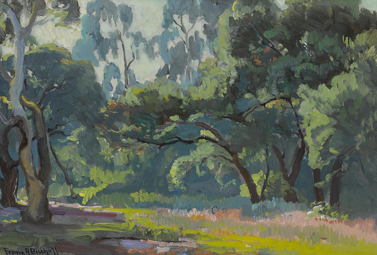 California Woodland