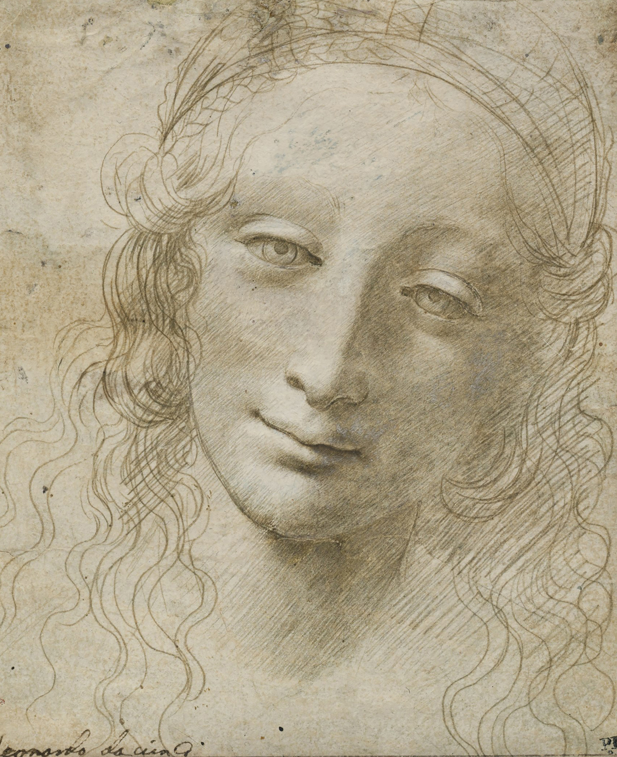 Head of a Woman, c. 1495-97