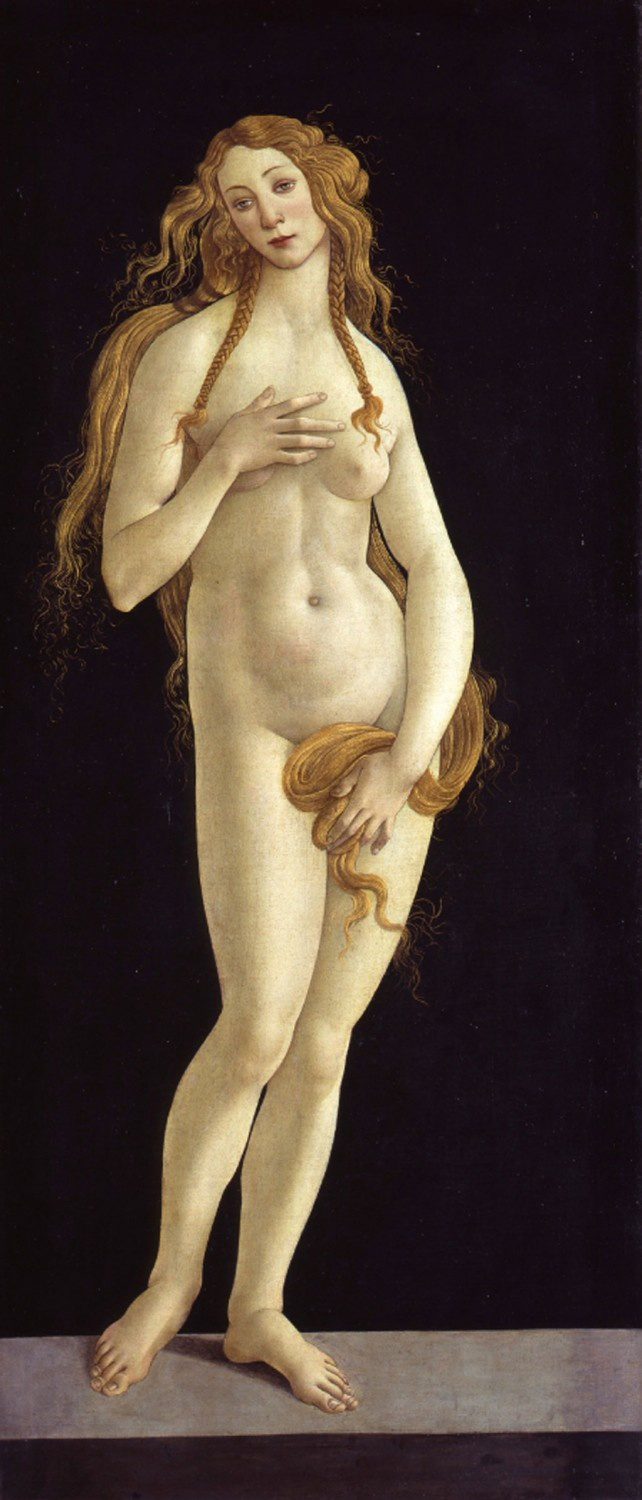 Venus, 1490