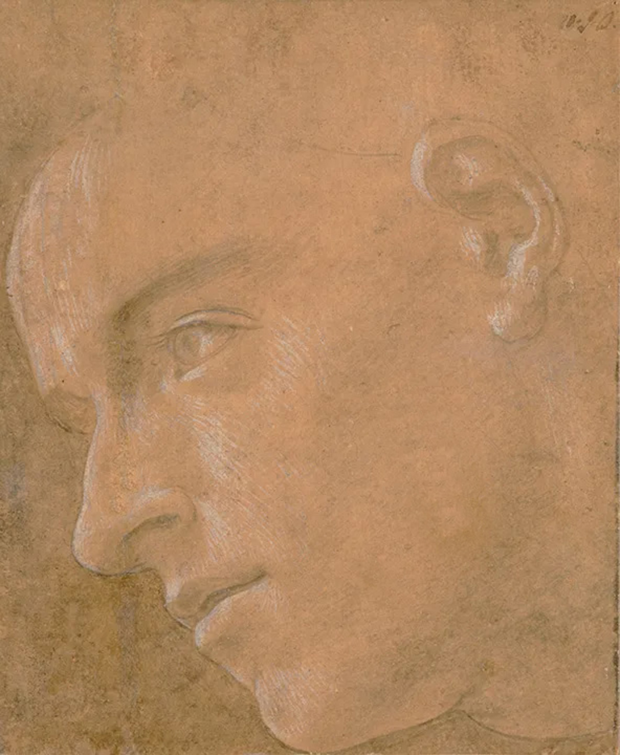 Head of a Man in Near Profile Looking Left, c. 1468-1470