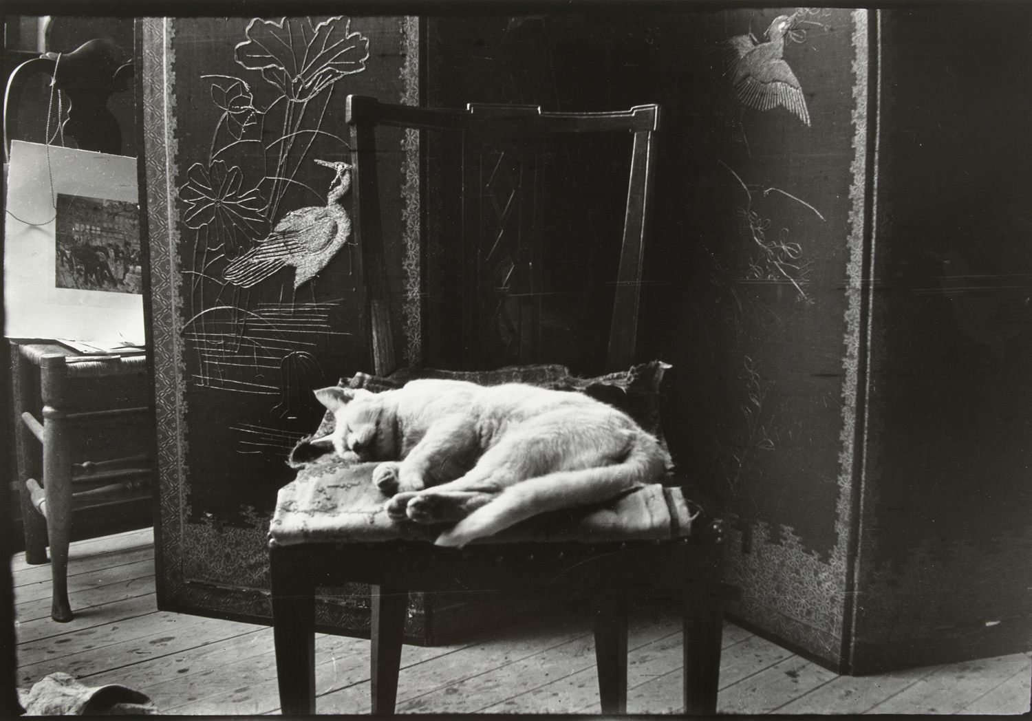 Cat on a Chair in Breitner's Atelier, Amsterdam, c. 1890-1910